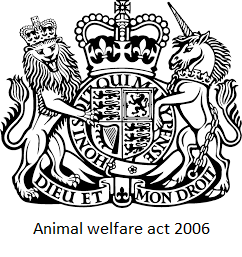 Animal welfare act